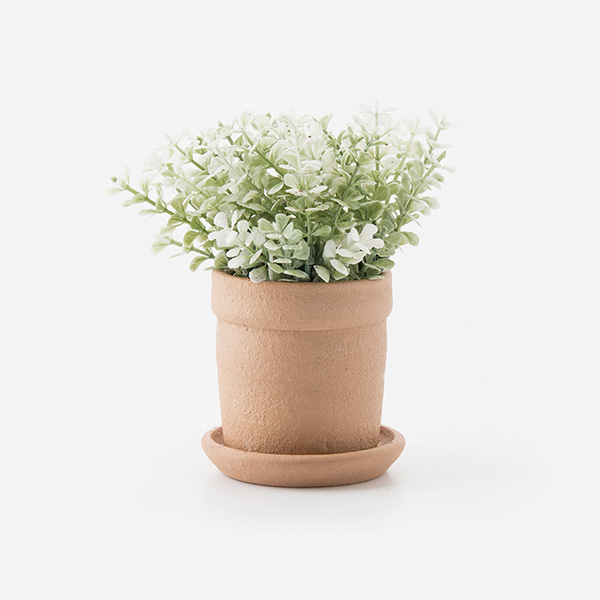 Small Plant Pots Christchurch BID